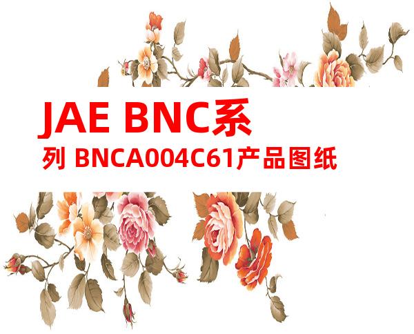 JAE BNC系列 BNCA004C61产品图纸